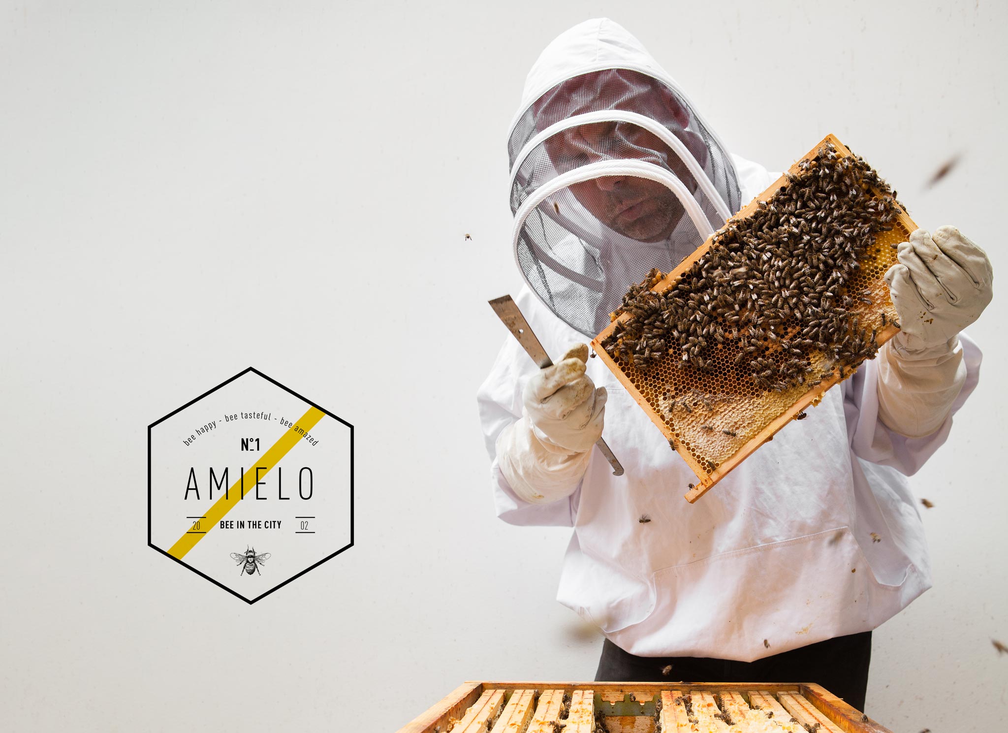 Logo ontwerp en branding voor Amielo honing