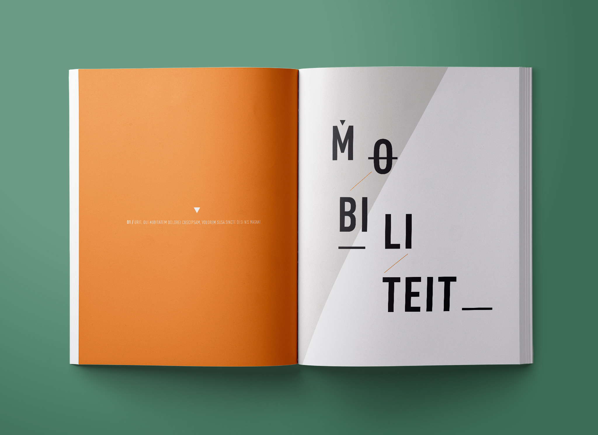 EHBOntwerp-work-Provinciehuis-boek-nr22-01